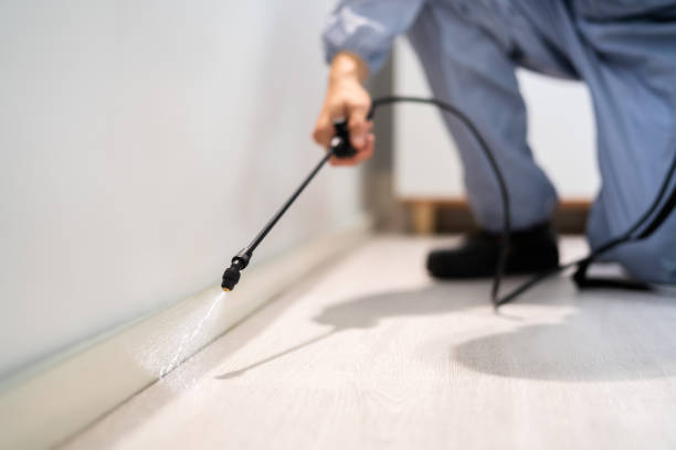 Bed Bug Pre-Treatment Preparation Assessment in Bedford